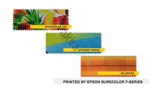 Sample Print 4 Epson SureColor F Series